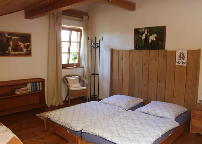Apartament Spring-hof *