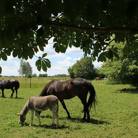 Spring-hof Apartment *