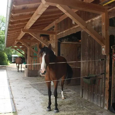Spring-hof Apartment Oberostendorf